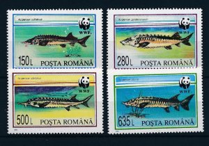 [53898] Romania 1994 Marine life fish WWF  MNH