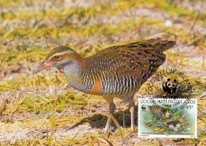 Cocos Islands 1992 Maxicard Sc #262d 45c Cocos Buff-banded rail WWF