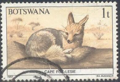 Cape Fox, Wildlife Conservation, Botswana stamp SC#404 used