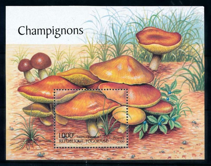 [100358] Togo 2000 Mushrooms Pilze Champignons Souvenir Sheet MNH