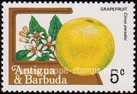 Antigua SG#796 Mint - 1983 5c.  - Flowers, Fruits, Grapes