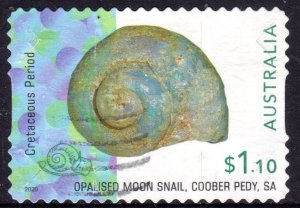 AUSTRALIA…2020 Opalised Fossils 