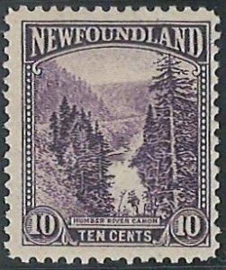 Scott: 139 Newfoundland - Humber River Canyon - MNH