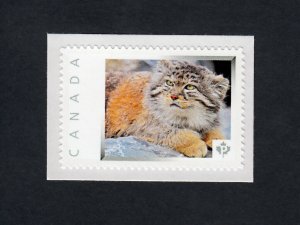 PALLAS CAT = Asian wild = Picture Postage stamp Canada 2013 [p4r4/1]