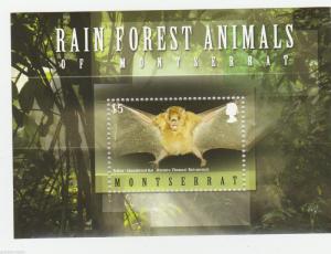 MONTSERRAT   Rain Forest Animals