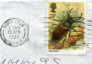 Great Britain Stag Beetle on Piece