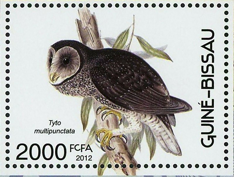Owls Stamp Birds Tyto Multipunctata Sceloglaux Albifacies S/S MNH #6061 / Bl.107