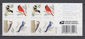 (G) USA #5317-5320 5320b Birds in Winter booklet of 20 forever  MNH