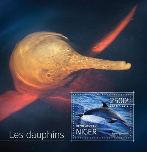 Marine Animals Dolphins Stamps Niger 2014 MNH Atlantic Spotted Dolphin 1v S/S