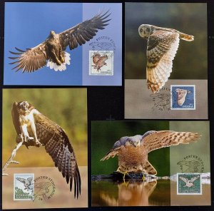 370-373 Sweden 2009 maxicards Birds of prey owls hawk eagle Scott 2609-2611