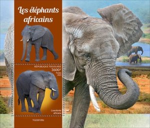 Togo - 2023 African Bush Elephants - Stamp Souvenir Sheet - TG230105b