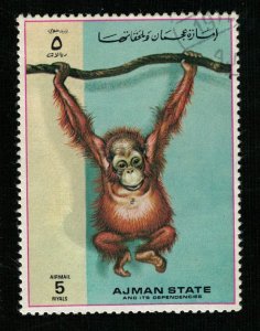 1973, Airmail - Apes and Monkeys, Ajman, 5R (RT-1371)