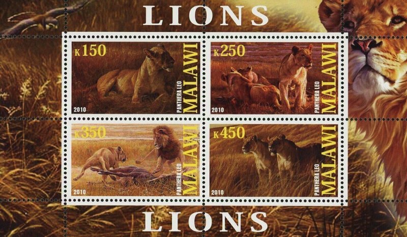 Malawi Lion Panthera Leo Wild Animal Fauna Souvenir Sheet of 4 Stamps Mint NH