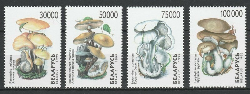 Belarus 1999 Mushrooms 4 MNH stamps