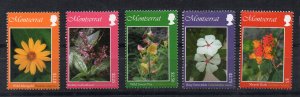 MONTSERRAT - FLOWERS - 2010 -