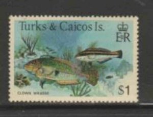 TURKS & CAICOS ISLANDS #372 1978 $1 CLOWN WRASSE FISH MINT VF NH O.G