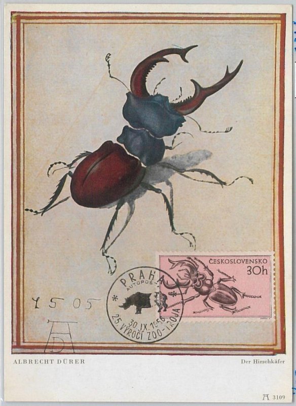 52186 - Czechoslovakia - MAXIMUM CARD - 1956 ART \ INSECTS: LAST-