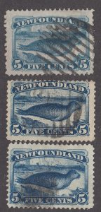 Newfoundland #53, 54, 55 Used
