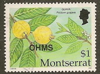 Montserrat  Scott   O150  Fruit   Used