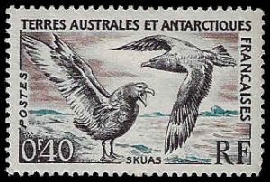 French Southern & Antarctic Territory #13 MNH; 40c Skuas - Birds (1959) (3)