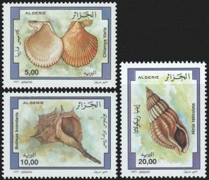 Algeria #1110-12  MNH - Seashells (1997)