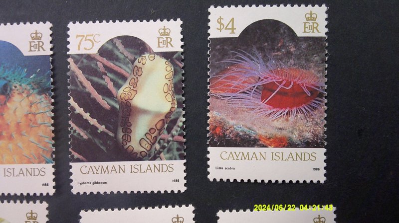 Cayman Islands 1986 Sealife Definitive Issue Scott# 562-573 complete MNH XF (12)