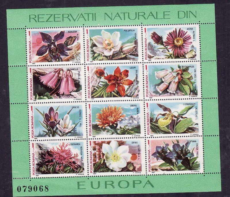 Romania-Sc#3465-unused NH sheet-Flowers-1987-