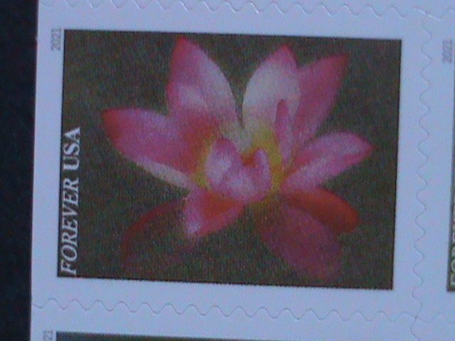 ​UNITED STATES- GARDEN BEAUTY-LOVELY FLOWERS-FOREVER MNH BOOKLET VERY FINE