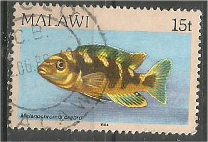 MALAWI 1984 used 15t  Aquarium  Scott 433