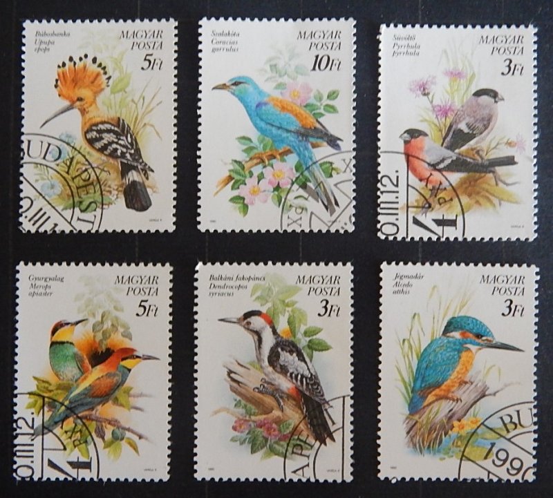 Comoros, Birds, (2307-Т)