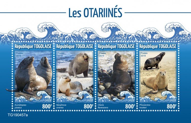 Togo Stamps 2019 .- Sea lions (Eumetopias jubatus; Neophoca cinerea; Otaria flav