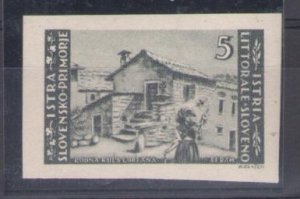 1946 LITORALE SLOVENO, no. 57a - 5L. Light Grey - Untoothed - MNH**