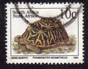 South Africa 853 - Used - Geometric Tortoise (In Latin)