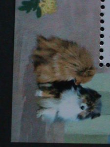 ​KOREA-SC#4241 LOVELY CAVALIER KING CHARLES SPANIEL DOG-S/S-VF-FANCY CANCEL