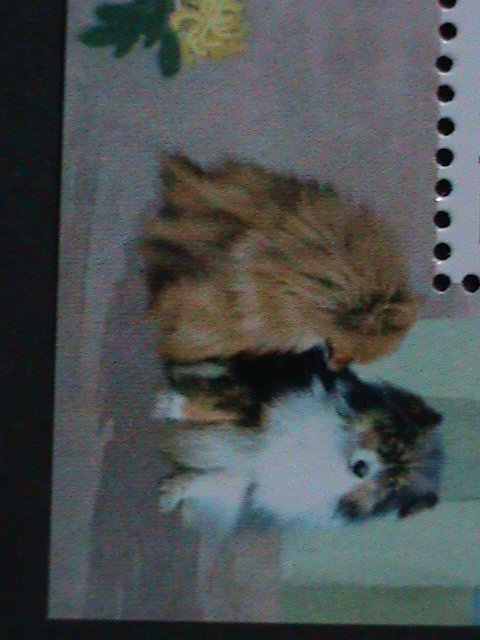 ​KOREA-SC#4241 LOVELY CAVALIER KING CHARLES SPANIEL DOG-S/S-VF-FANCY CANCEL