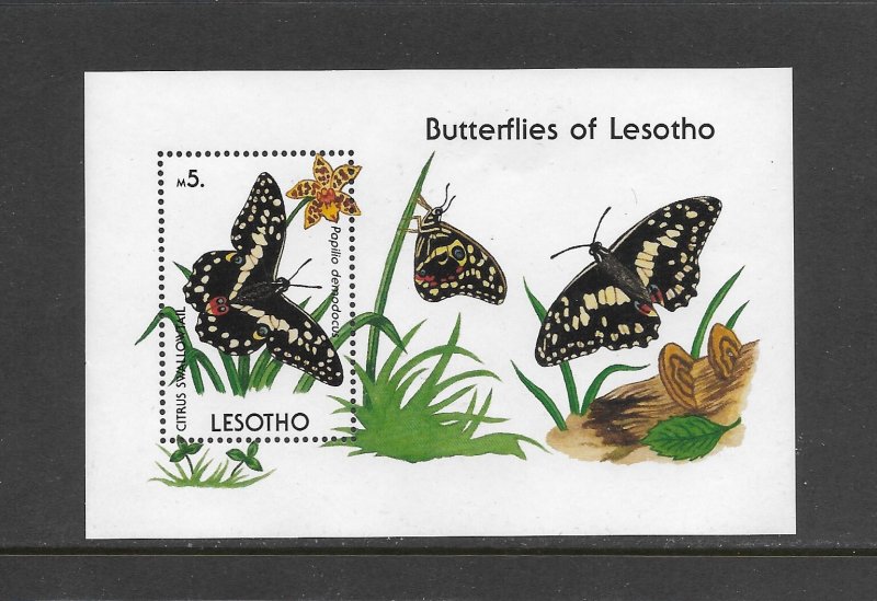 LESOTHO #773  BUTTERFLY-CITRUS SWALLOWTAIL  MNH