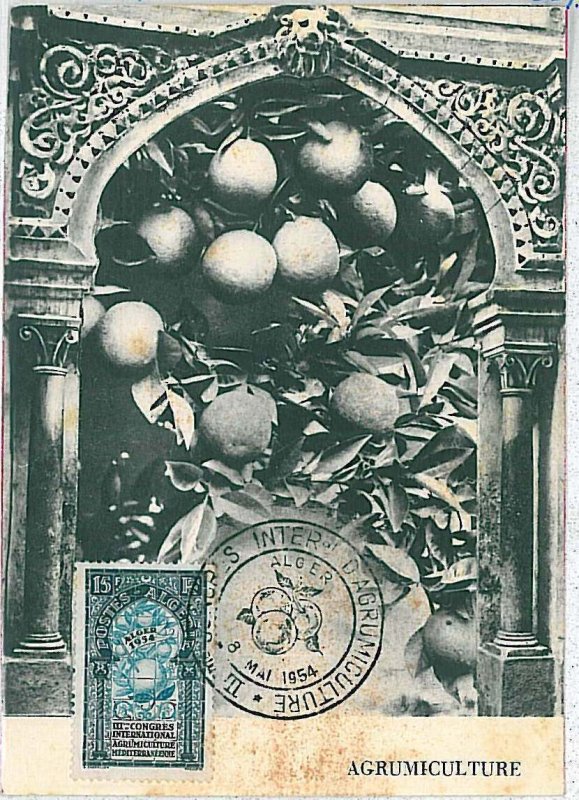 38744  - ALGERIA  - POSTAL HISTORY -  MAXIMUM CARD -  FRUIT: Oranges 1954