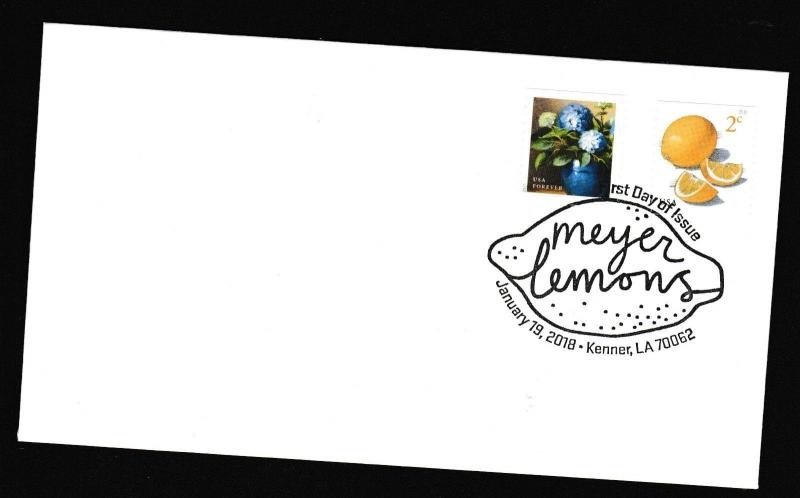 US 5256 Meyer Lemons Garden Flowers Hydrangeas BWP FDC 2018