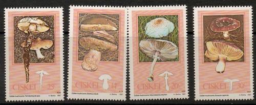 SA Ciskei 1988 Plant Mushrooms Fungi Michel 145-148 SG 141-4