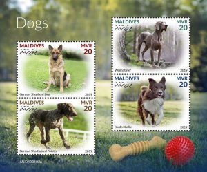 Maldives 2019 MNH Dogs Stamps German Shepherd Dog Weimaraner Border Collie 4v MS
