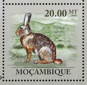 Rabbits Stamp Oryctolagus Cuniculus Lepus Capensis S/S MNH #3548-3553