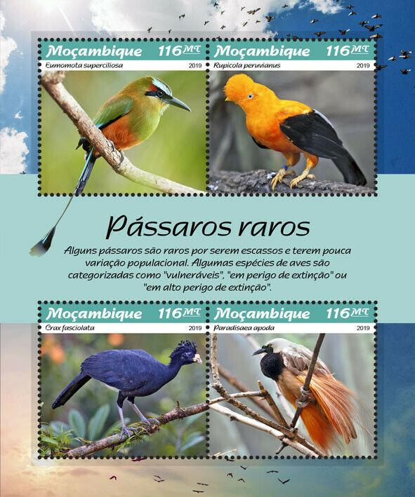 Z08 MOZ190109a Mozambique 2019 Rare Birds MNH ** Postfrisch