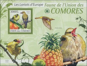 Comoro Island 2009 MI 2419/B516 Birds Orioles CV $15.50