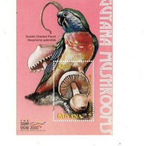 Guyana - 2000 - Mushrooms - Souvenir Sheet - MNH