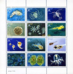 1998 Marine Fauna.