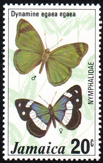 Jamaica 1977 MNH Sc #424 20c Dynamine egaea egaea Butterflies