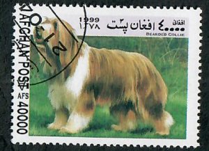 Afghanistan Bearded Collie Dog CTO single from 1999