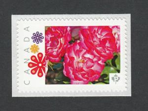 TEA ROSE Picture Postage personalized stamp Limited issue Canada 2014 [p82sn3]