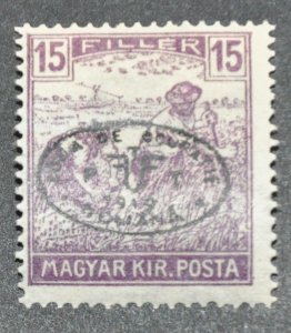 DYNAMITE Stamps: Hungary Scott #2N10 – MINT 