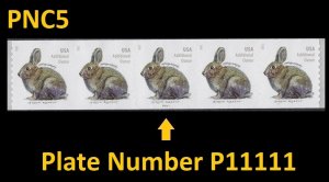 US 5545 Brush Rabbit additional ounce PNC5 P11111 MNH 2021 